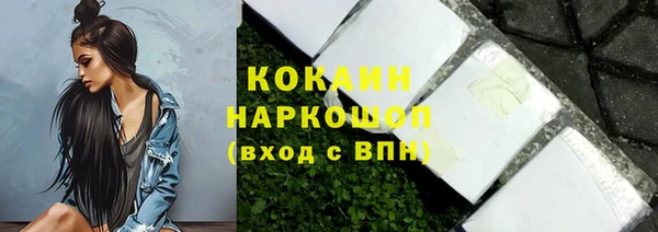 гашик Аркадак