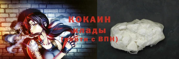 гашик Аркадак