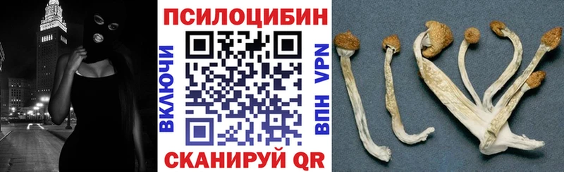 купить закладку  Сегежа  Галлюциногенные грибы Psilocybe 